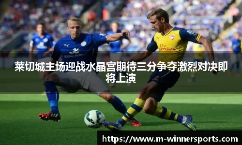 莱切城主场迎战水晶宫期待三分争夺激烈对决即将上演